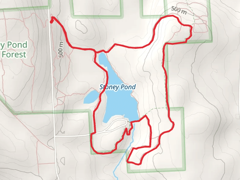 Stoney Pond State Forest Loop