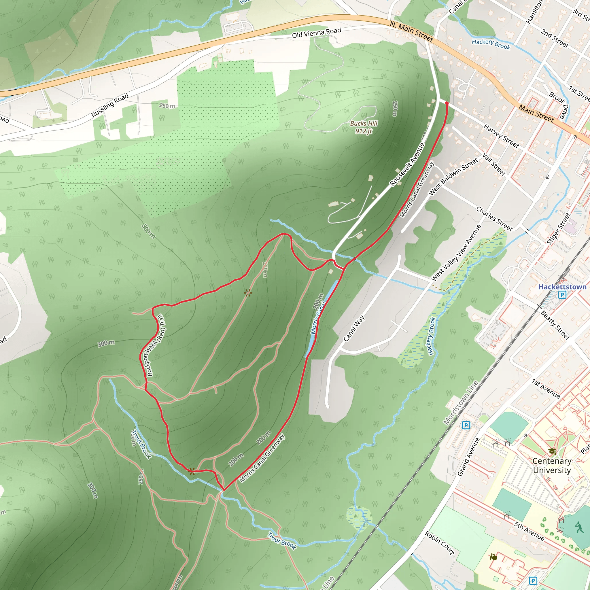 Red trail and Morris Canal Greenway Loop mobile static map