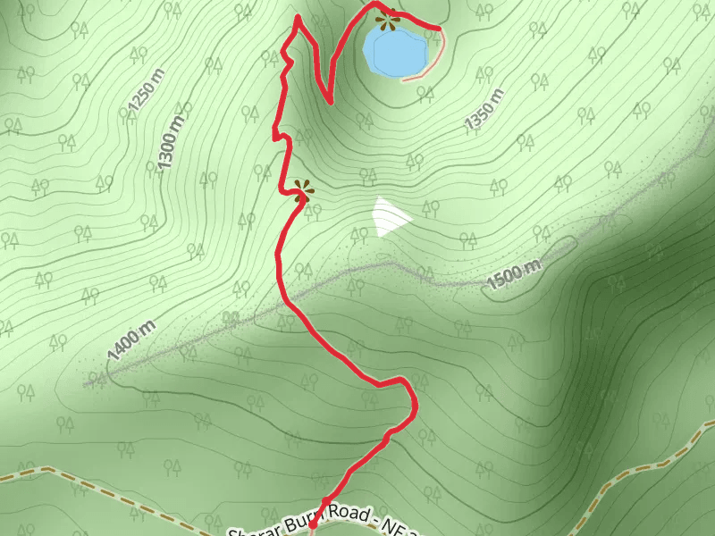 Veda Lake Trail