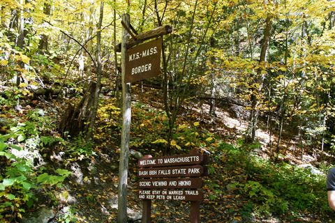 Alander Mountain and Brace Mountain via South Taconic Trail