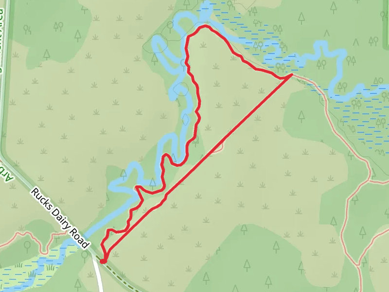 Lake Wales Ridge State Forest Trail and Reedy Creek Loop