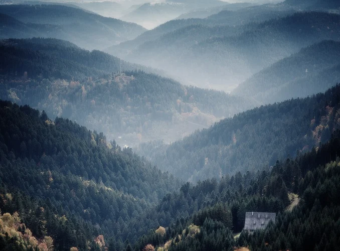 Mooswald, Waldhauser and Mooswaldkopf Loop