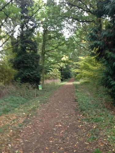 Chicksands Wood Loop