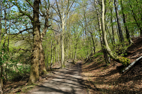 Grave to Rijksweg via Kraaijenbergse and Sint Jansberg