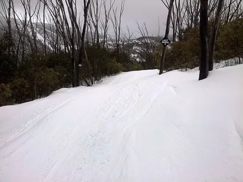 Home and Away Trail