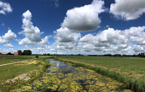 Ringiapaad and Haitze Holwerdapaad Loop
