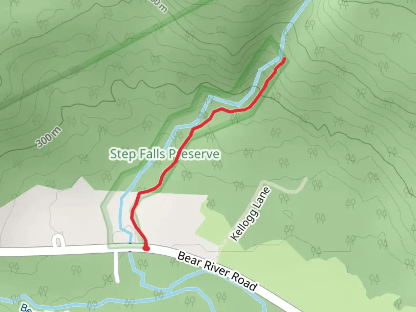 Step Falls Trail | Oxford County | Maine