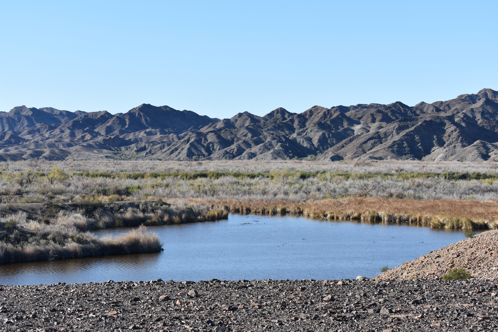 An image depicting the trail Gavilan Wash and its surrounding area.