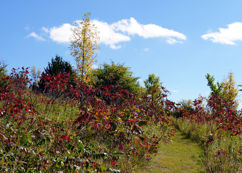 Central Lakes State Trail