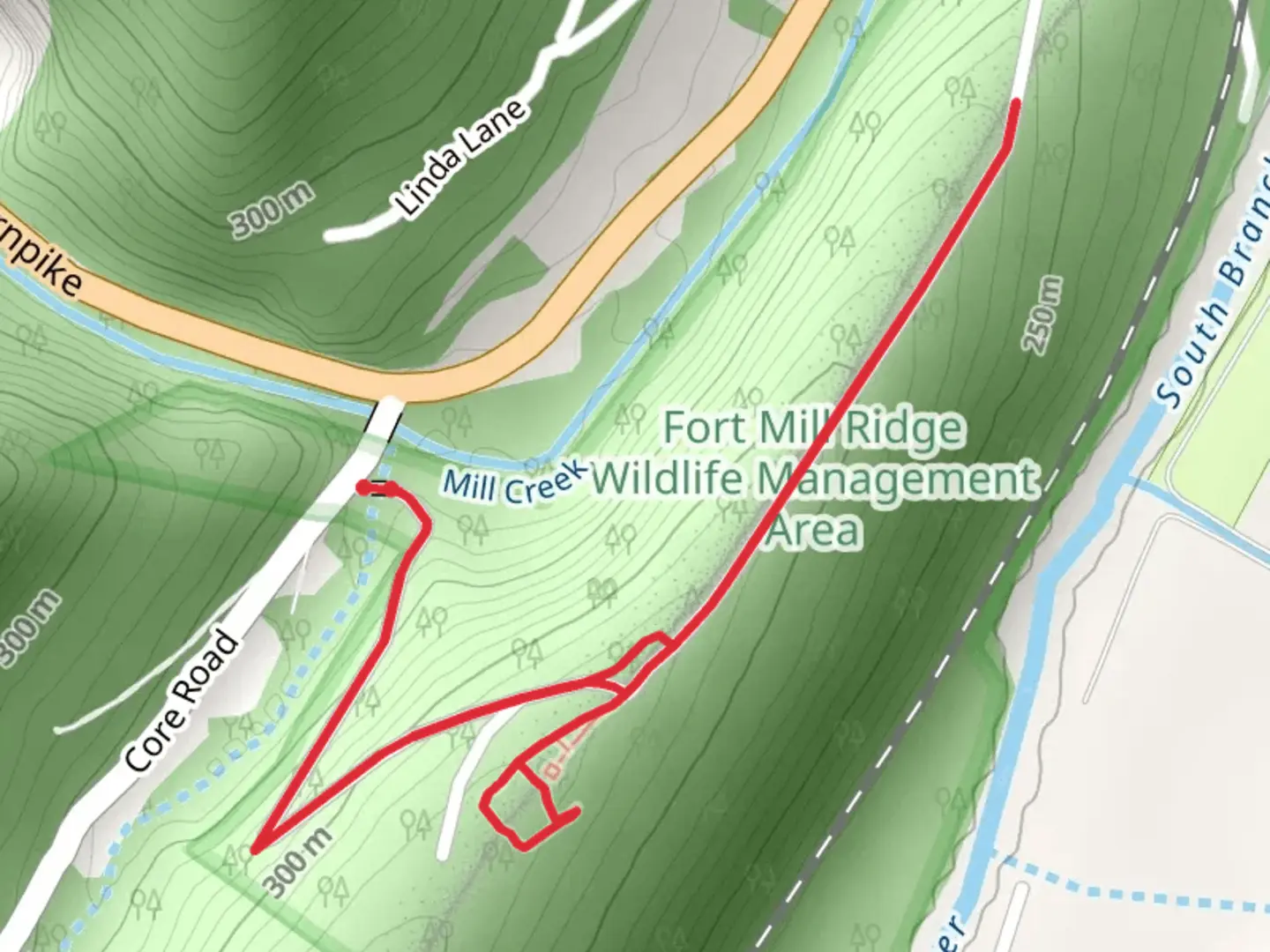 An image depicting the trail Core Run and fort mill Walking Paths and its surrounding area.