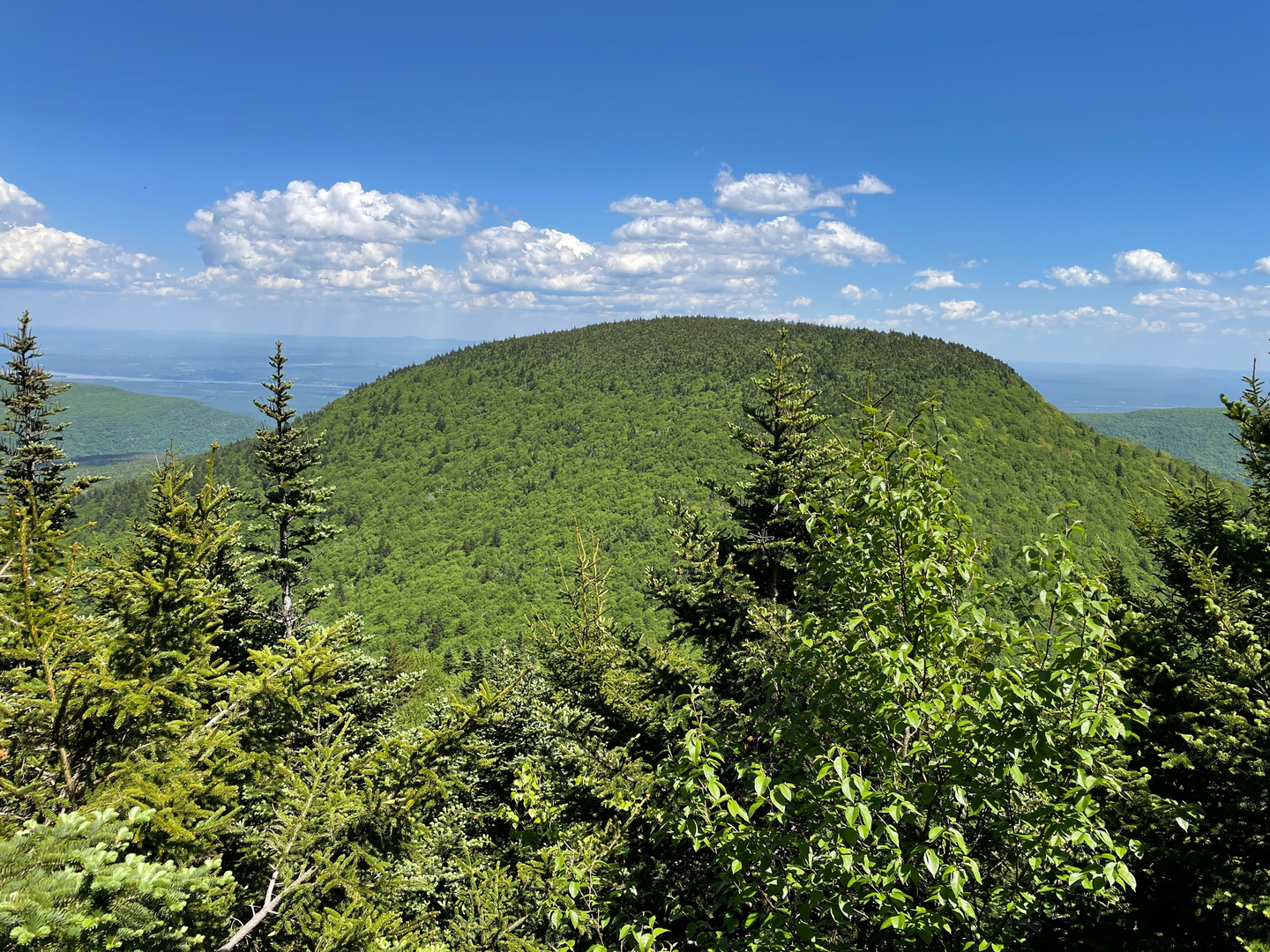 An image depicting the trail Indian Head Mountain and Jimmy Dolan Notch Overlook via Devil's Path and its surrounding area.