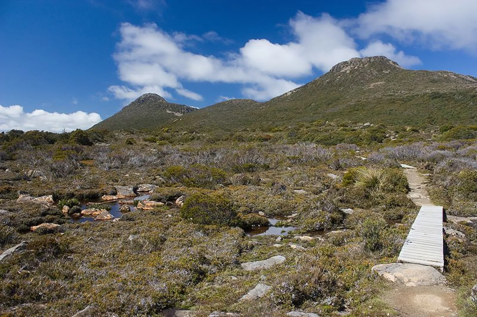 An image depicting the trail Hartz Peak Track and its surrounding area.
