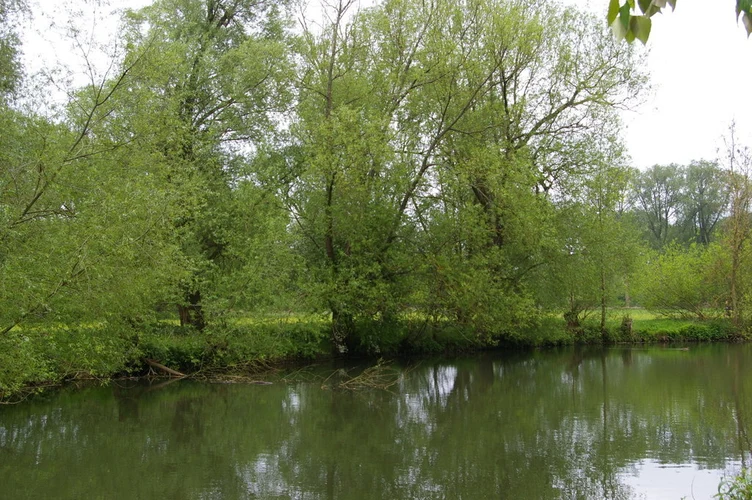 River Cherwell Loop