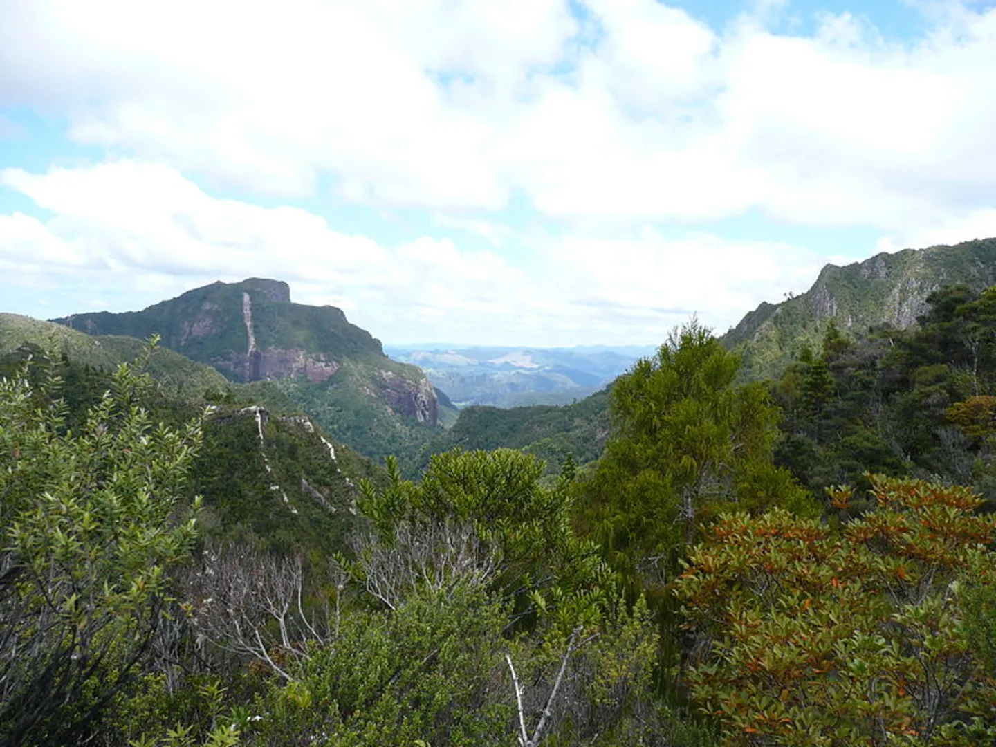 An image depicting the trail The Pinnacles Track and its surrounding area.