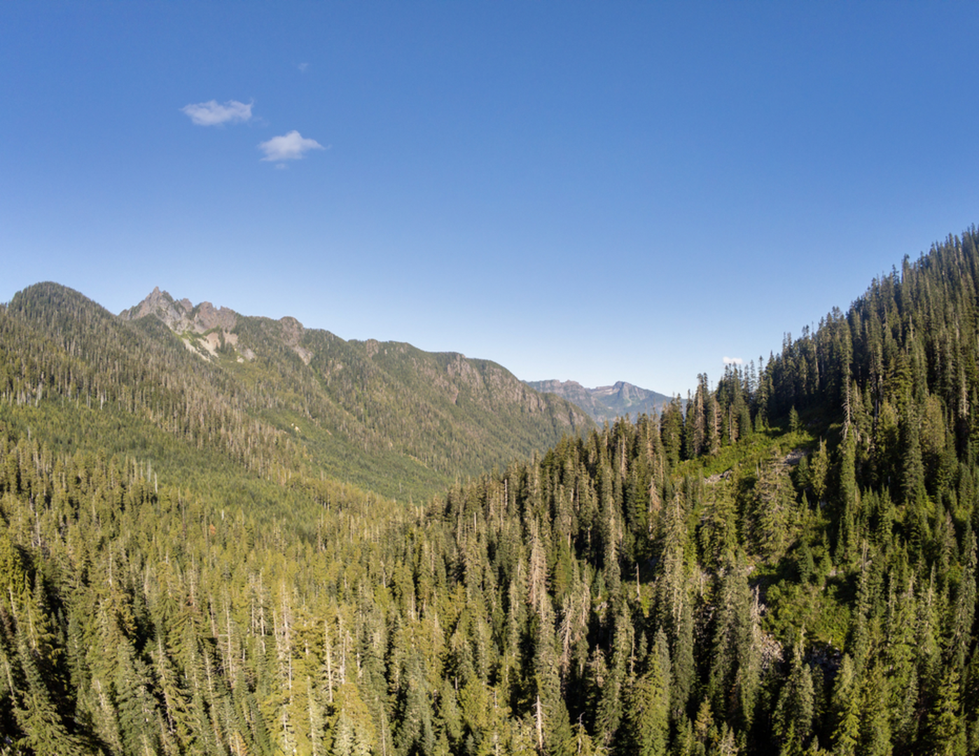 An image depicting the trail Deer Creek Pass Trail and its surrounding area.