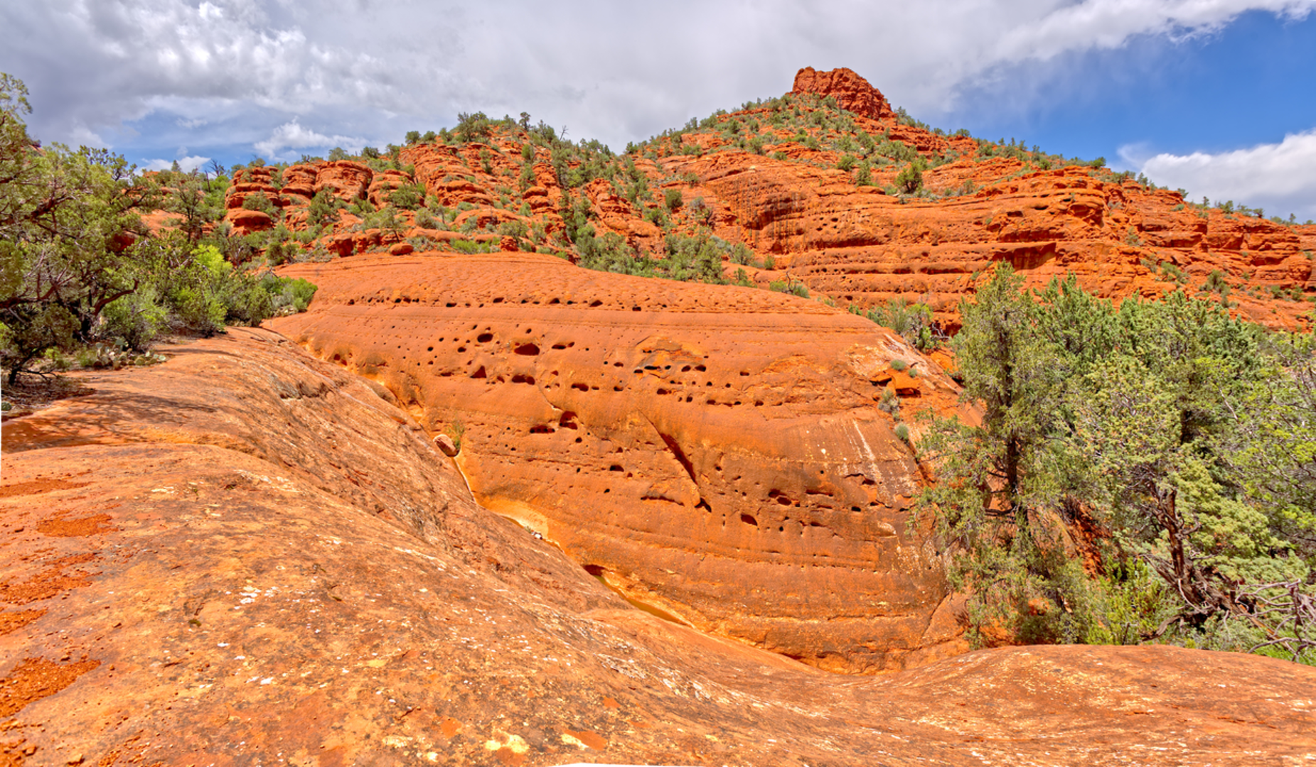 An image depicting the trail Pigtail Trail and its surrounding area.