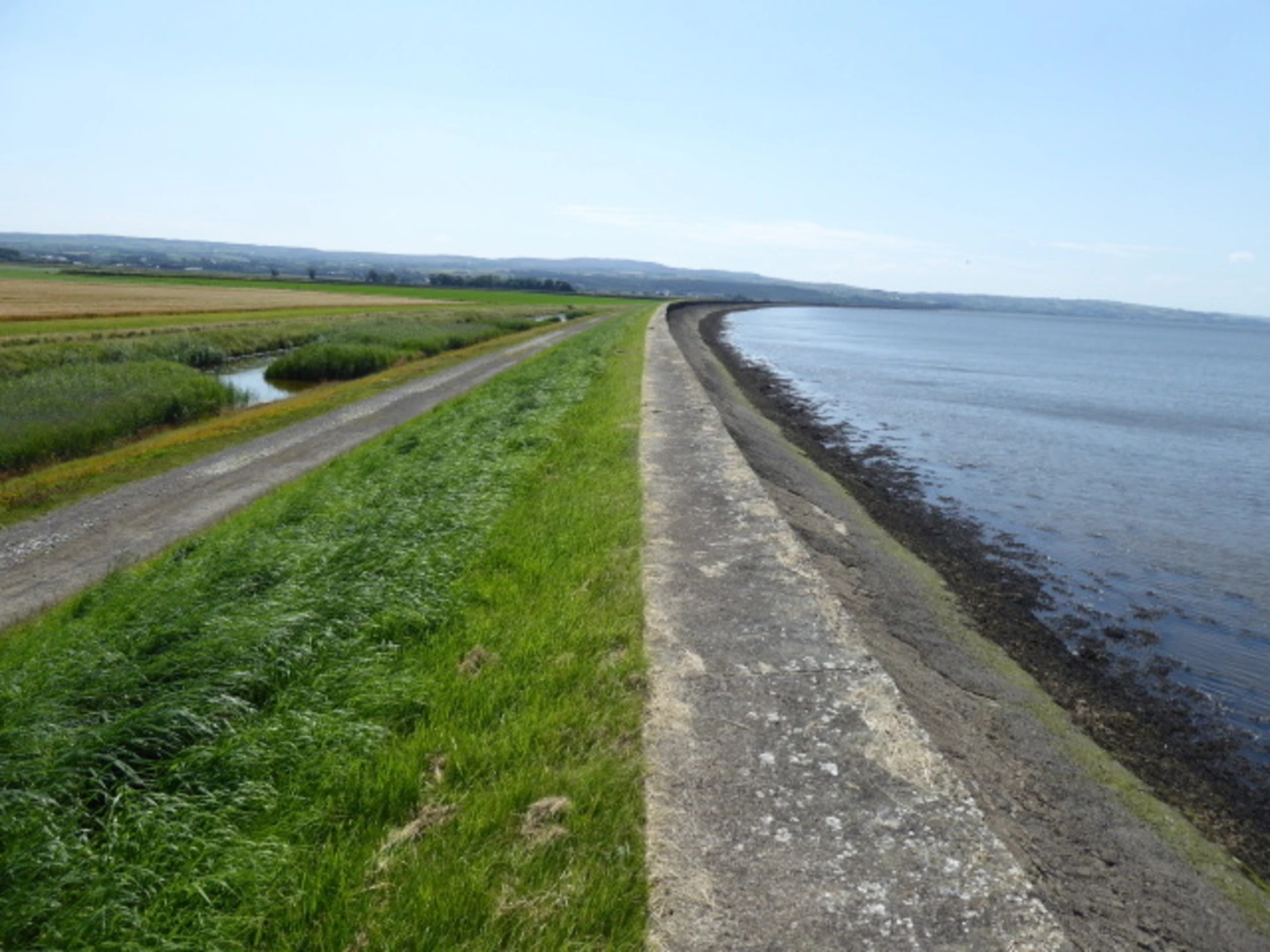 An image depicting the trail Ballykelly Bank and its surrounding area.