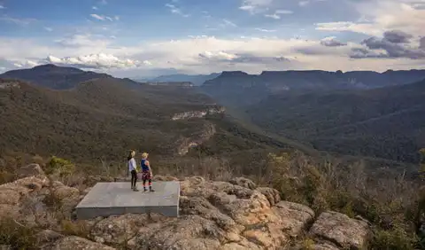 Mount Bushwalker Track