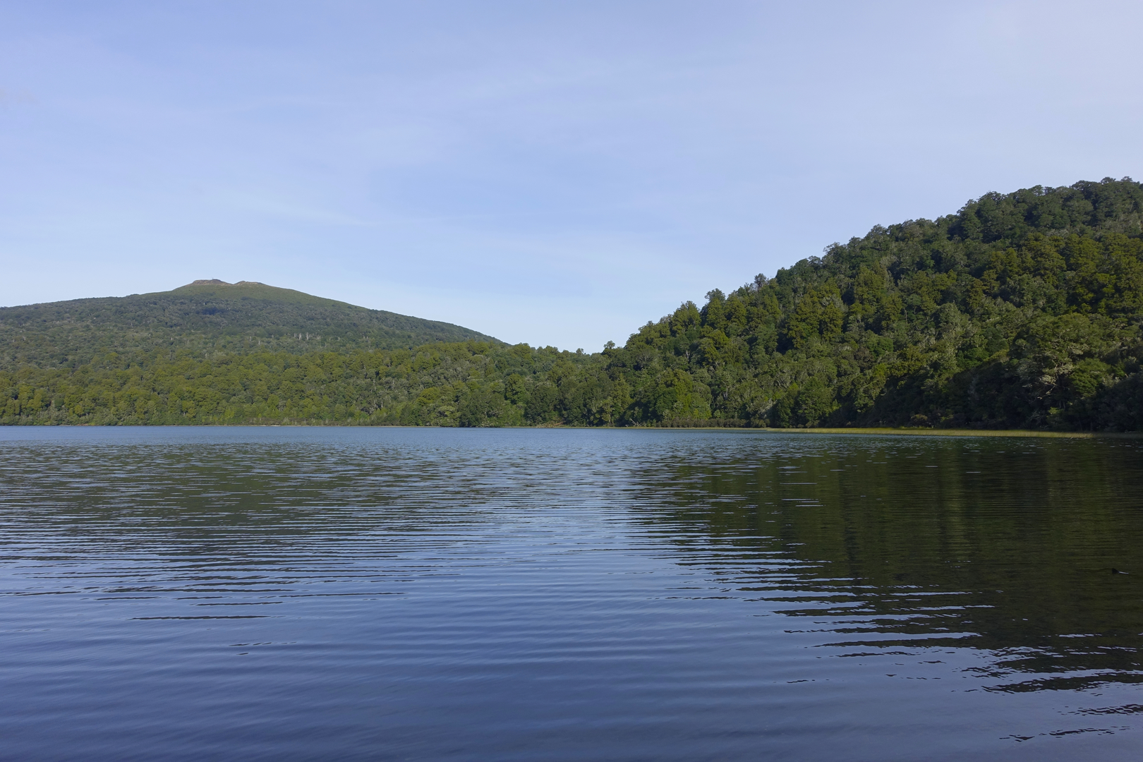An image depicting the trail Rotopounamu Track and its surrounding area.
