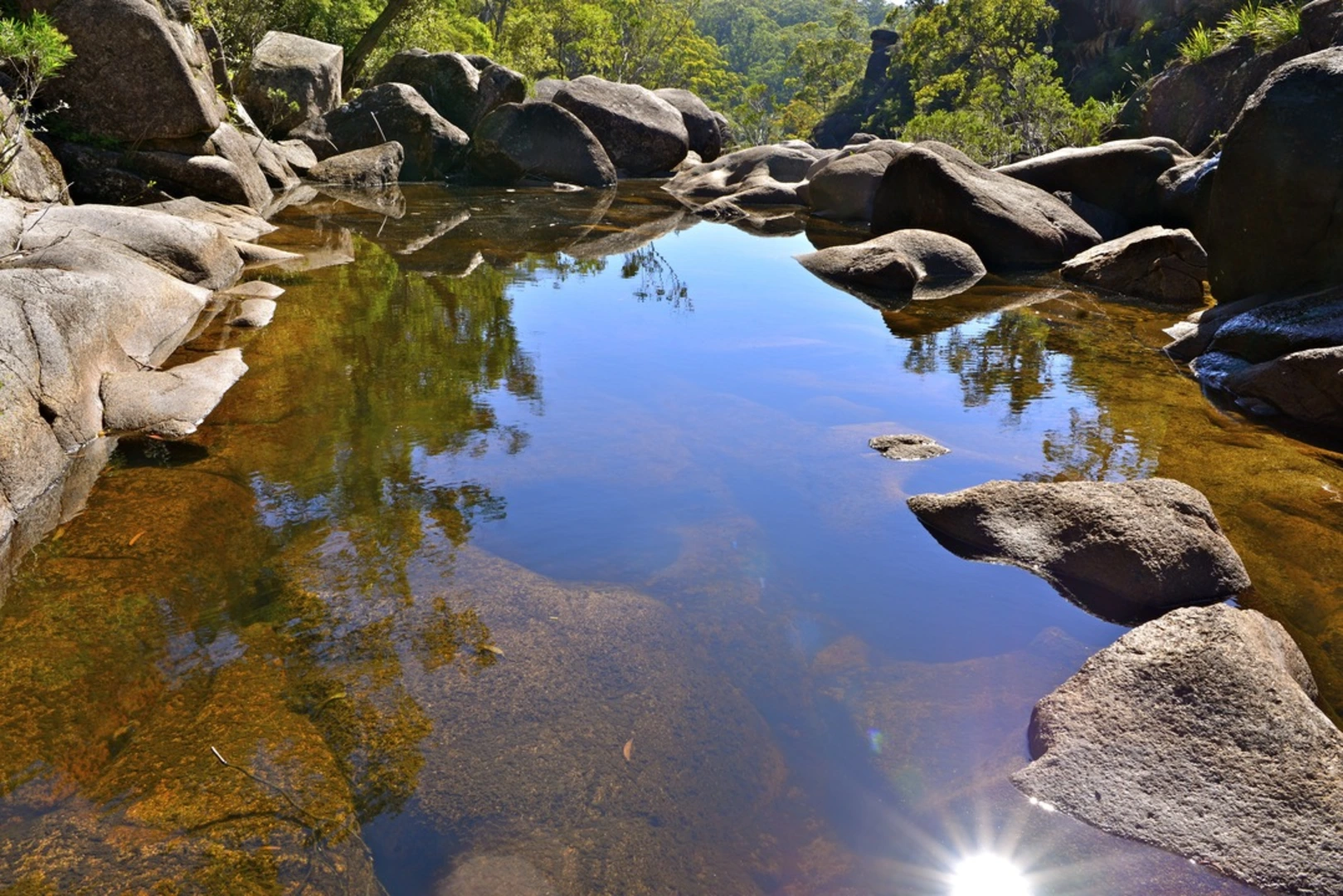 An image depicting the trail Forest Track - Gibraltar National Park and its surrounding area.