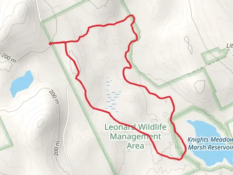 Knights Meadow Marsh WMA Loop