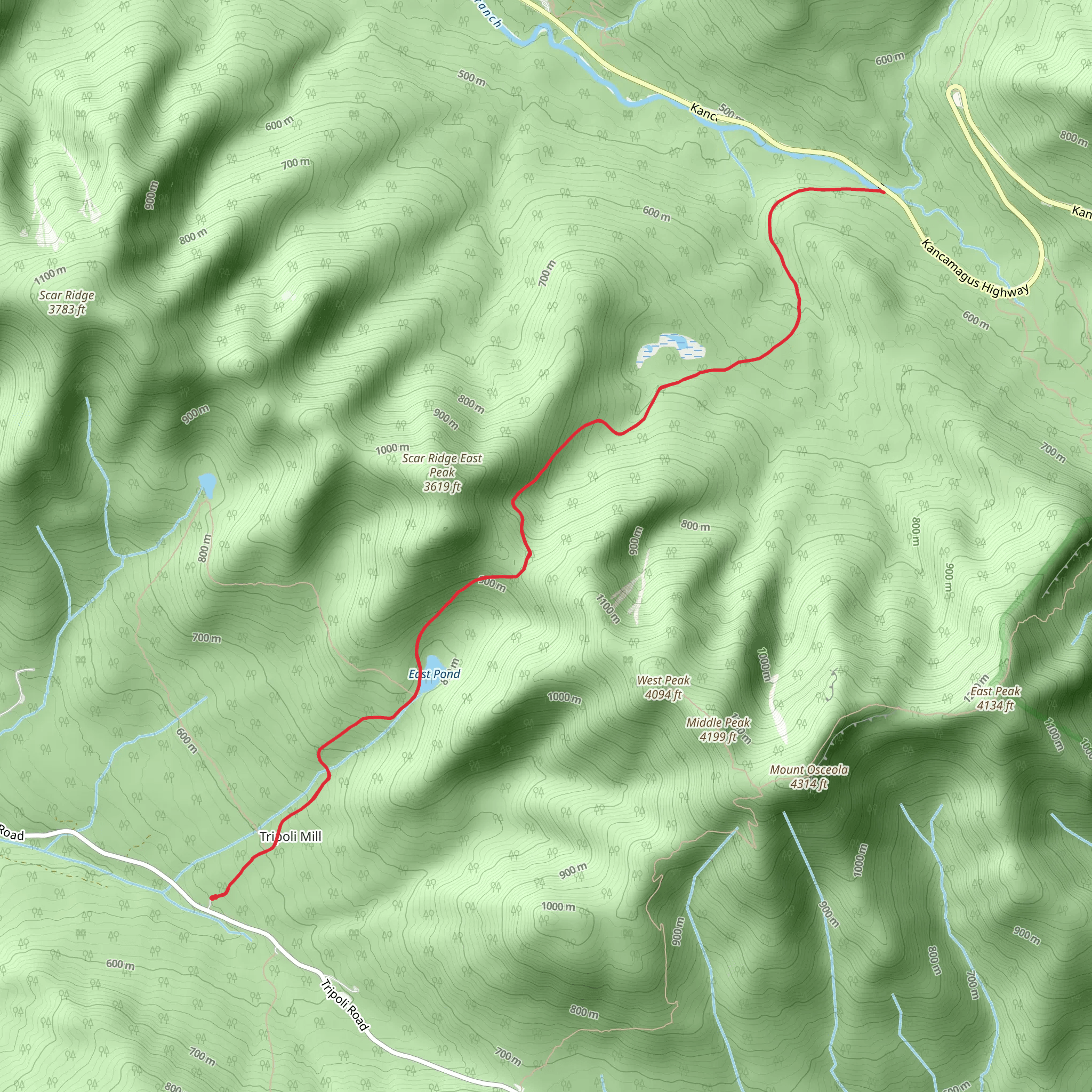 East Pond Trail Out and Back mobile static map