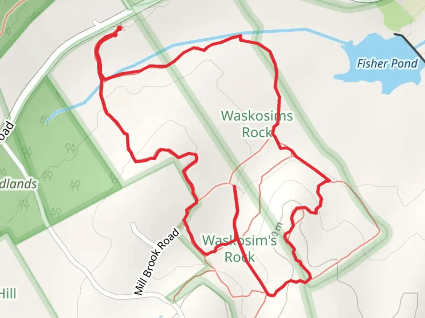 An image depicting the trail Mill Brook Loop Walk and its surrounding area.