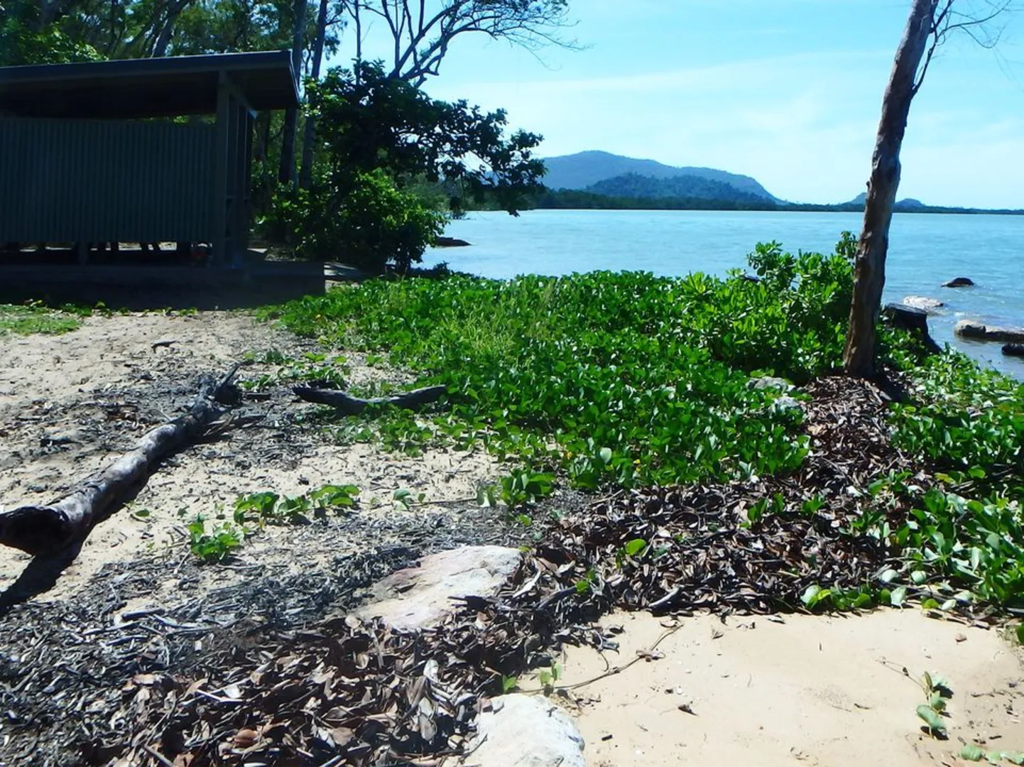 An image depicting the trail South Shepherd Bay Track and its surrounding area.