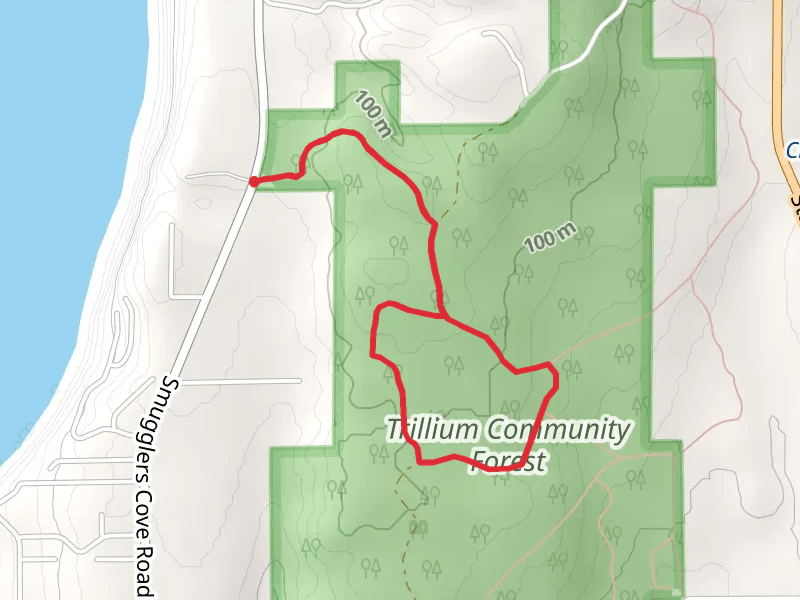 Trillium Community Forest Loop from Smugglers Cove Road