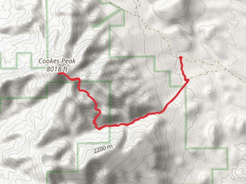 Cookes Peak via Cookes Peak Trail