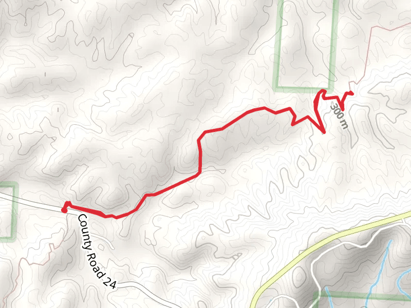 Pinhoti Short Trail - County Road 24