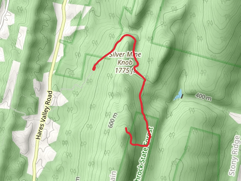 Silver Mine Knob