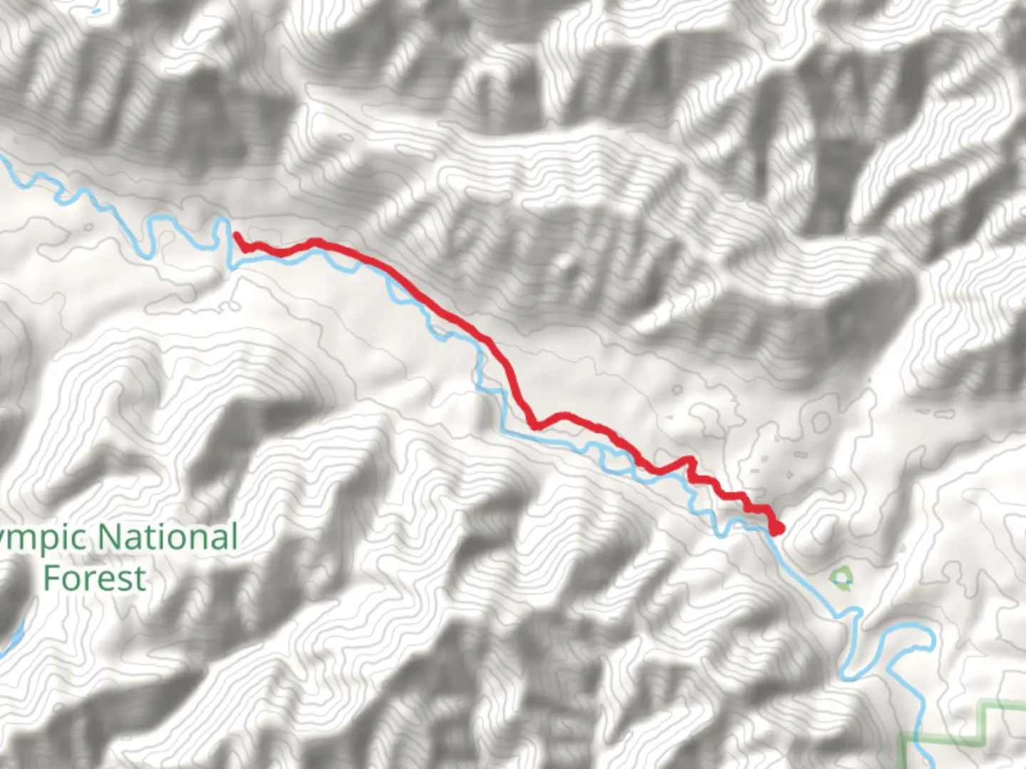 An image depicting the trail Lower South Fork Skokomish River Trail and its surrounding area.