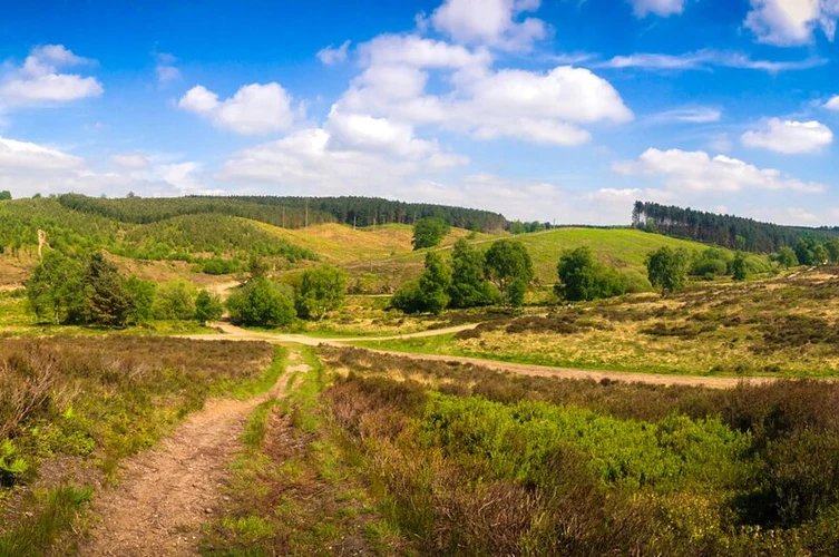The Butts, Old Brook and Sher Brook