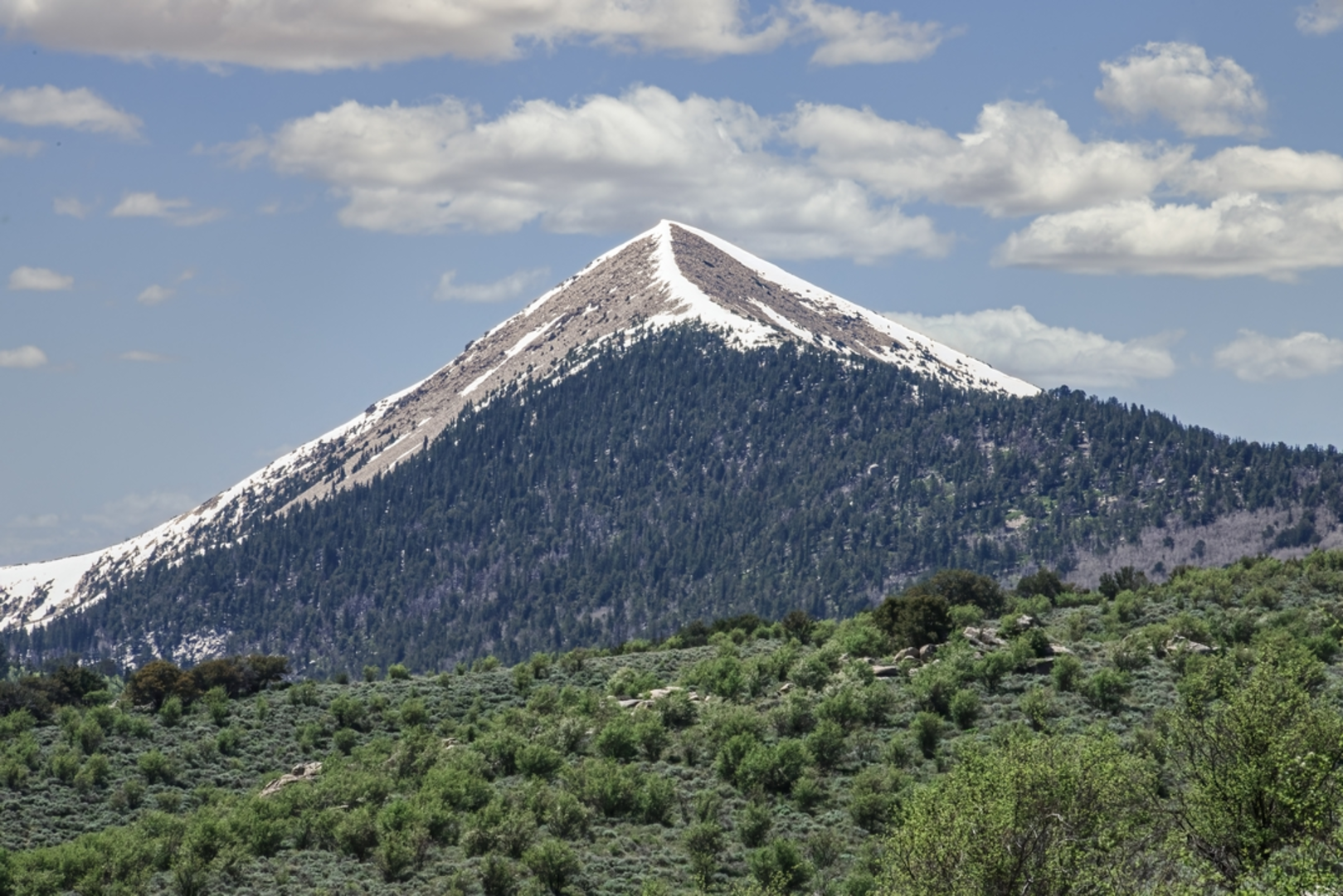 An image depicting the trail Timber Creek Trail and its surrounding area.