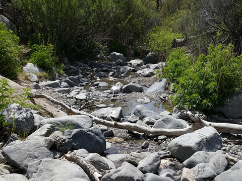 Burkhart Trail