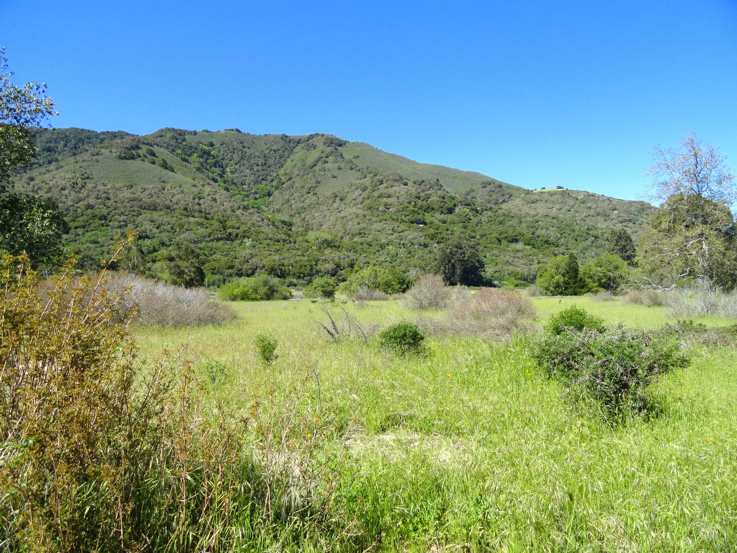 An image depicting the trail Vasquez Knob and its surrounding area.