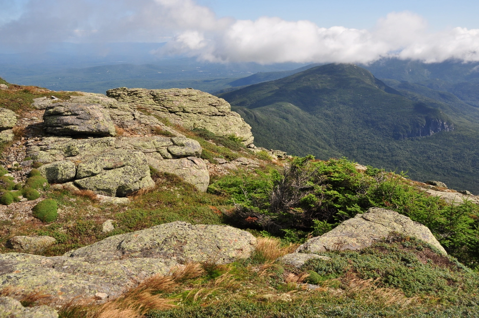 An image depicting the trail Franconia Brook Trail via Lincoln Woods Trail and its surrounding area.