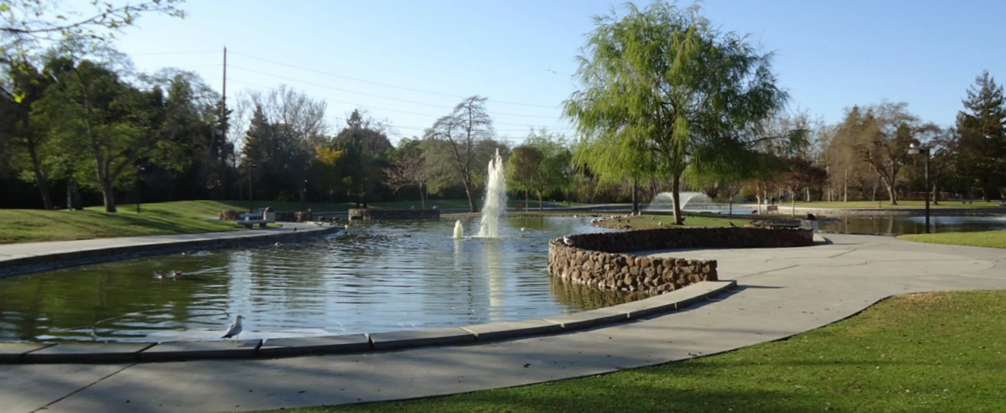 An image depicting the trail Central Park and Saratoga Creek Loop and its surrounding area.