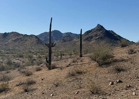 Gila Trail, Baseline Trail, Rainbow Valley Trail, Dysart Trail, Toothaker and Horseshoe Trails