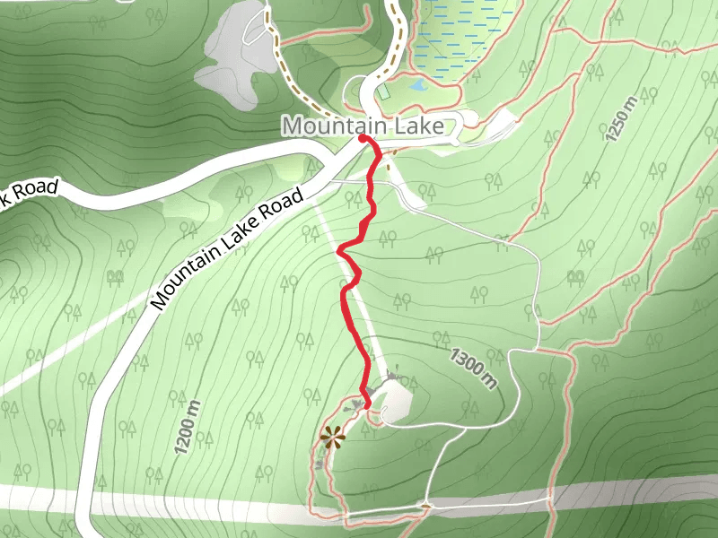 Bald Knob Trail