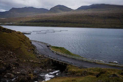 Coastal Walk of Shetland - Fetlar