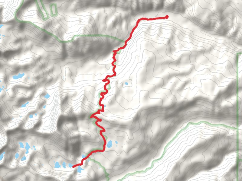 Willow Lake, Shelf Lake, Hatchet Lake and Frog Lake via Livingston Mill Castle Divide Trail