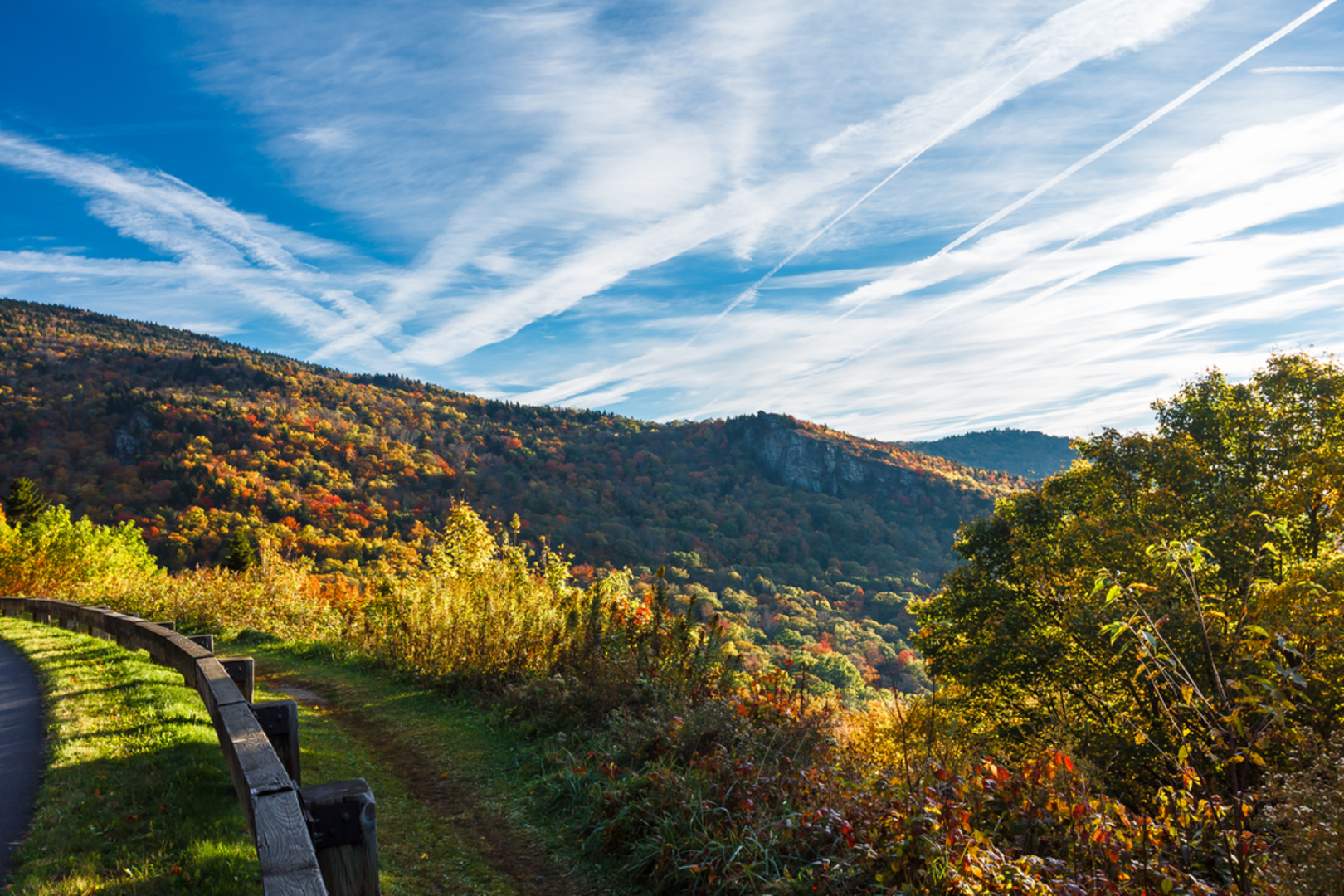 An image depicting the trail Laurel Fork Trail and its surrounding area.