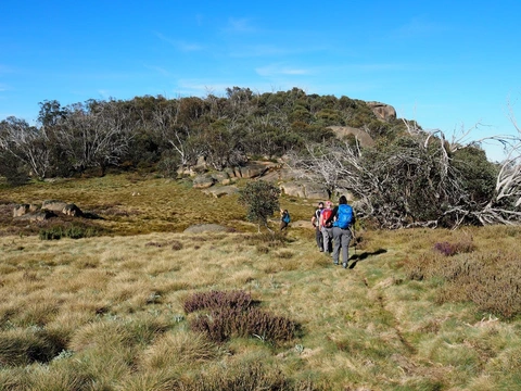 Mount Dunn and Drillhole Rocks Trail