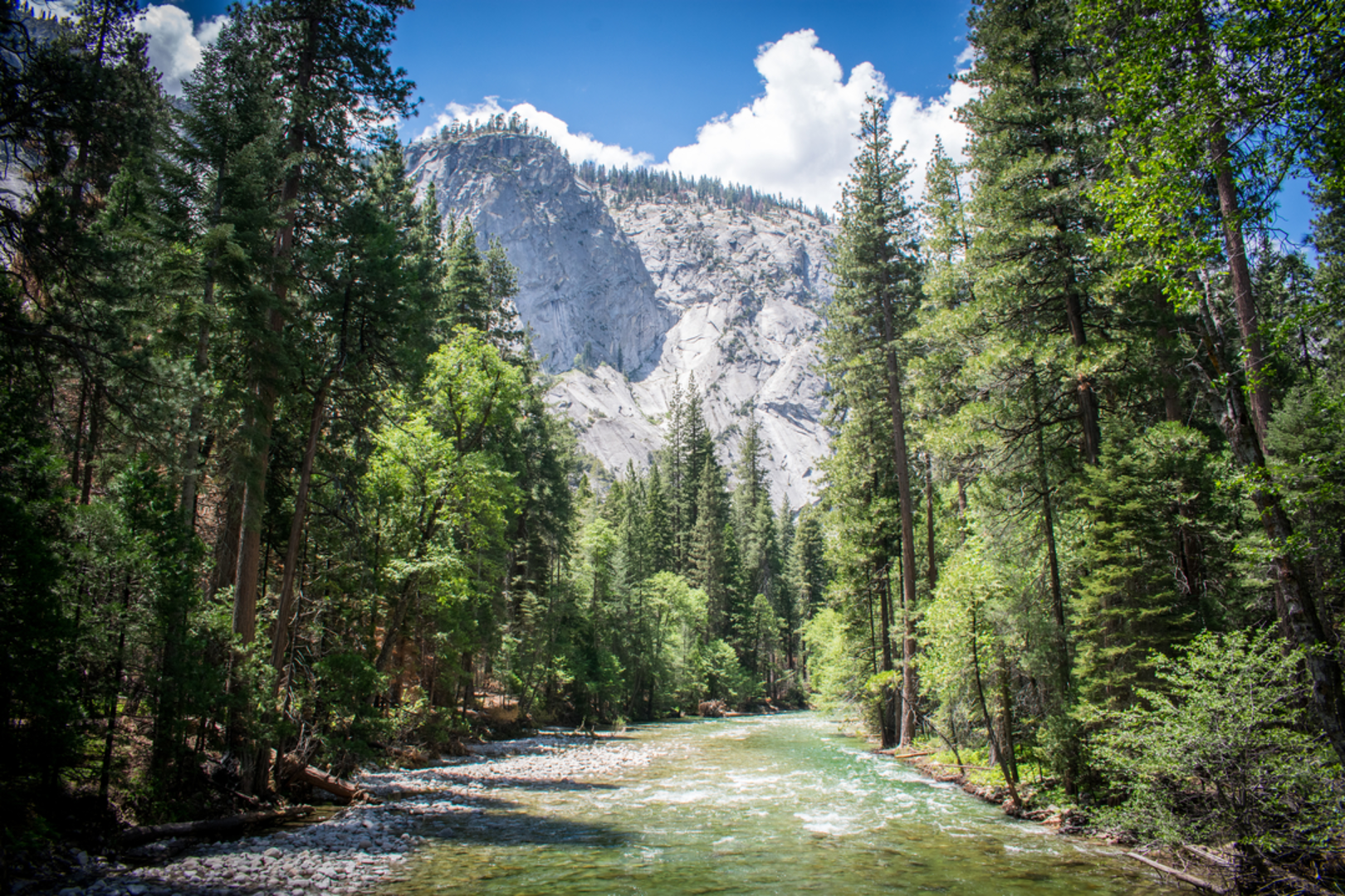 An image depicting the trail Mist Falls Trail and its surrounding area.