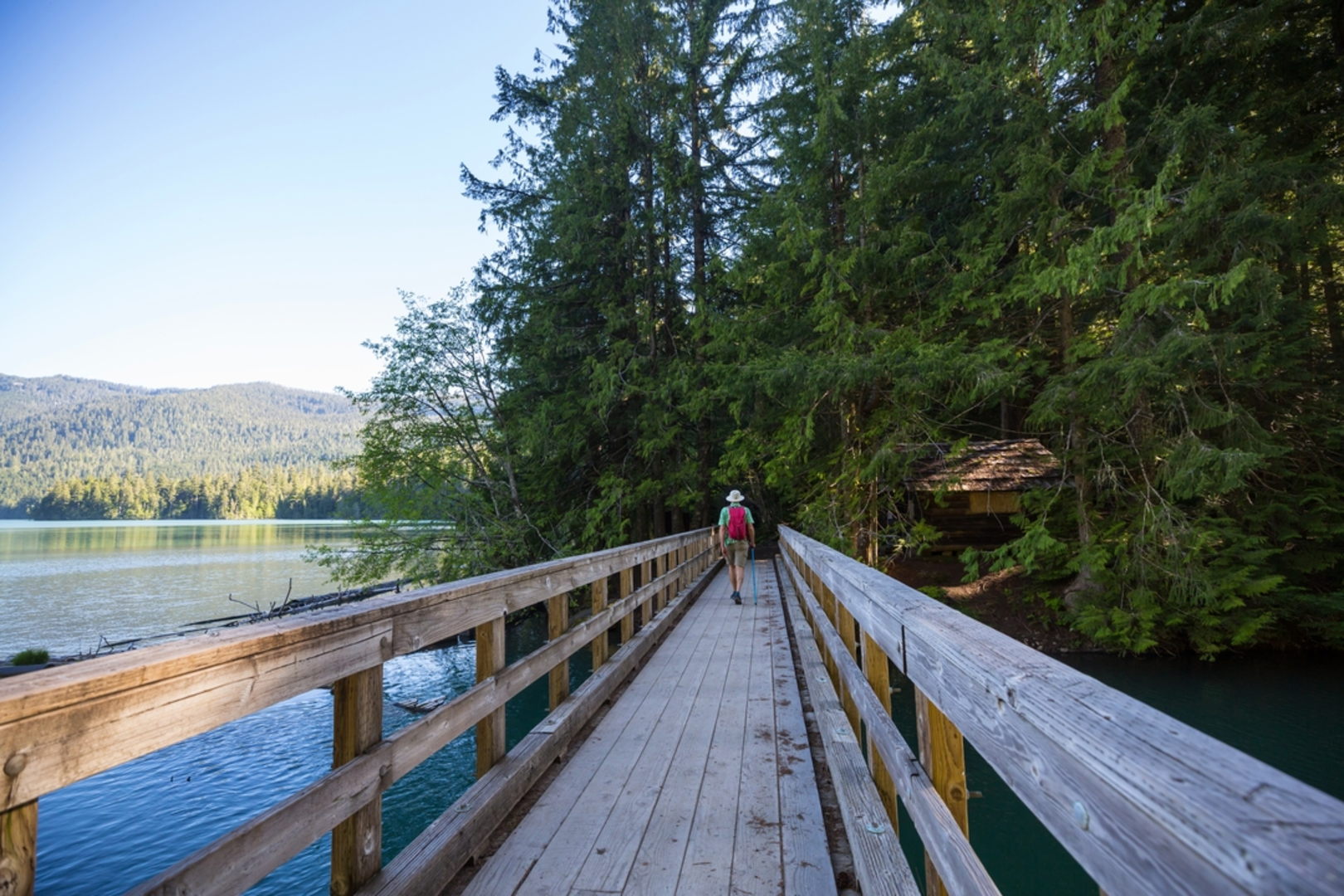 An image depicting the trail Packwood Lake Trail and its surrounding area.