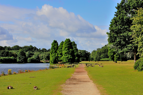 Clumber Lake and Hardwick Wood Loop