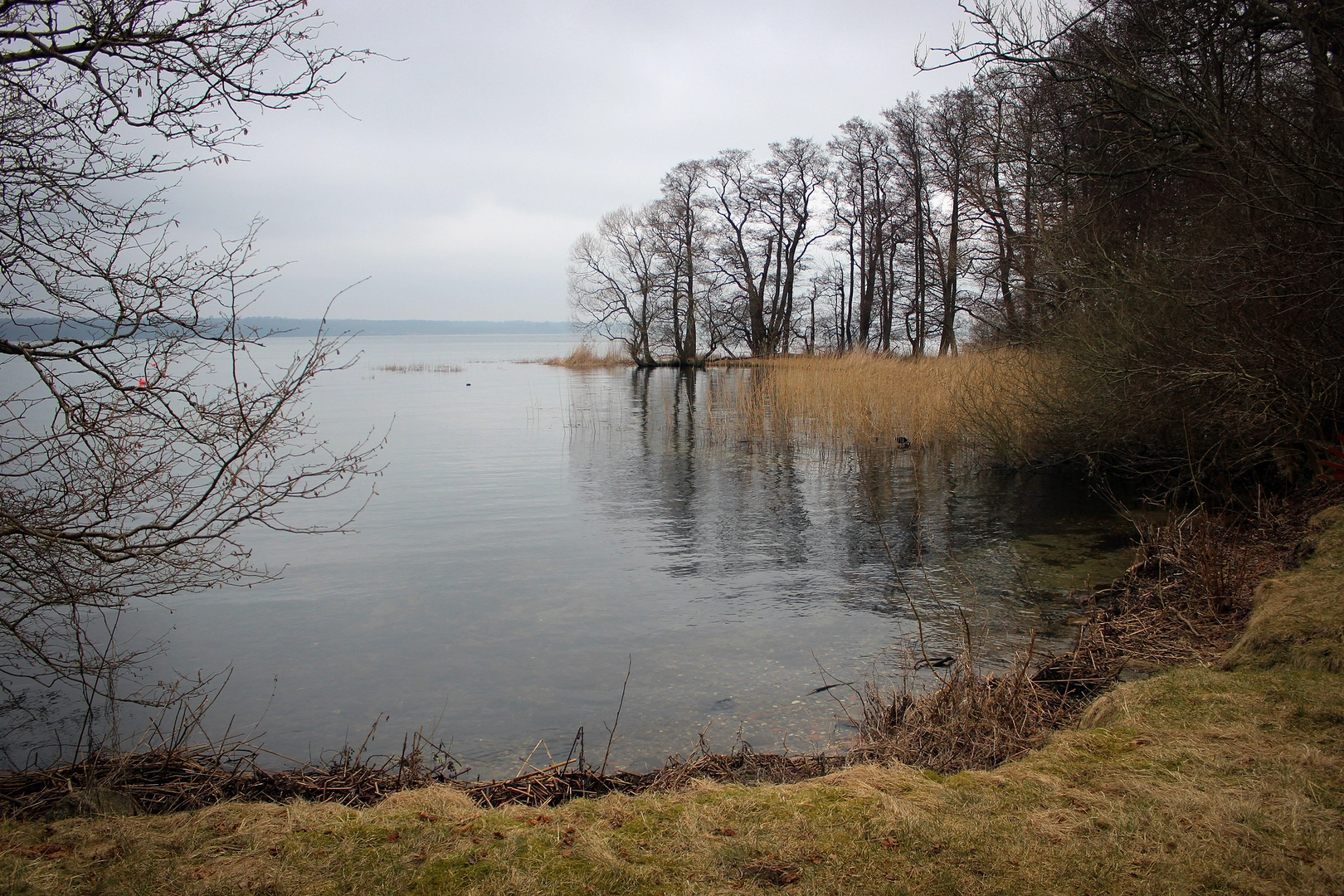 An image depicting the trail Nordsjaellandsruten and its surrounding area.