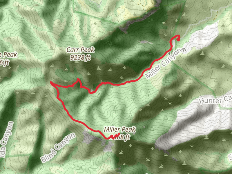 Miller Peak via Miller Canyon Trail